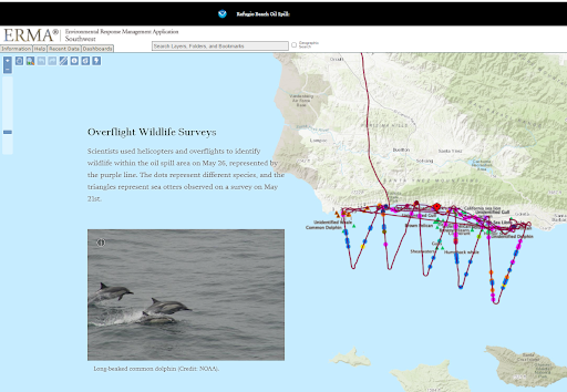 Map of overflight wildlife surveys during the Refugio Beach oil spill response and assessment (NOAA). 