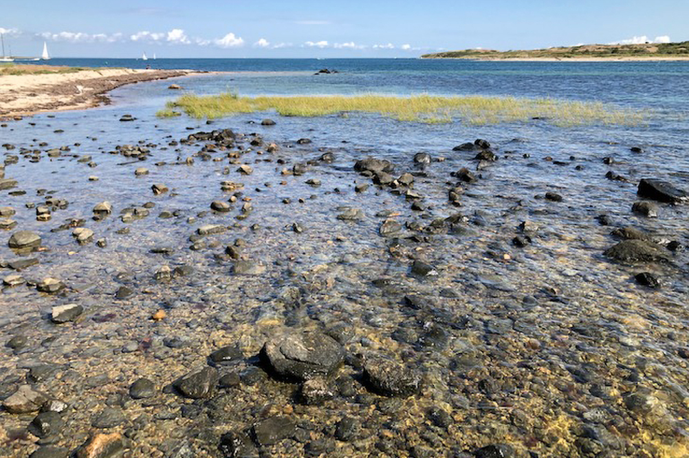 Tidal habitat on Cuttyhunk Island in Buzzards Bay, Massachusetts.