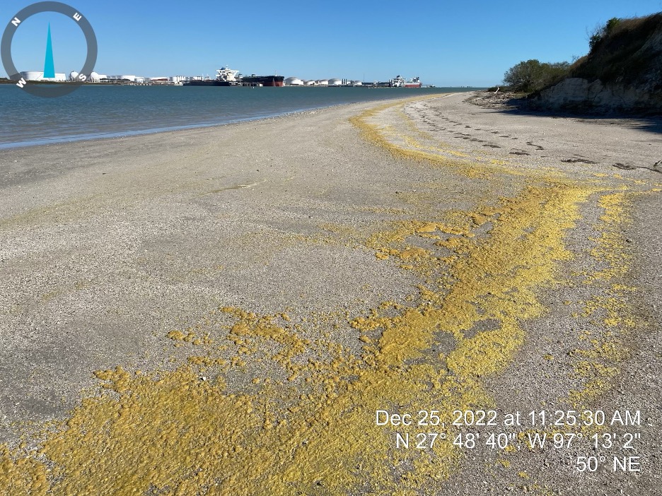 Yellowish waxy petroleum product on a shoreline in Corpus Christi, Texas on December 25, 2022