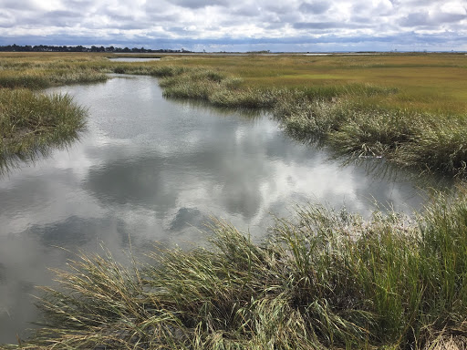 A salt marsh channel landscape with a cloudy sky.