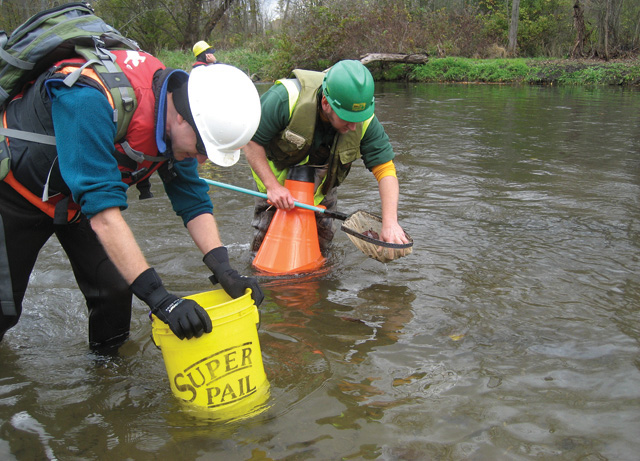 Following an oil spill on the Kalamazoo River in Michigan in 2010, scientists assessed impacts to mussel shells from response-related boat traffic. 