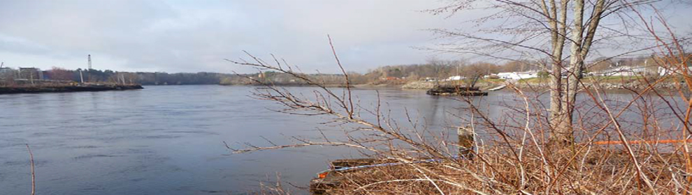 View of the Penobscot River looking just north of the site from the southeast side of the river.