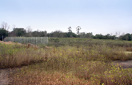  Pre-Construction at Noisette Creek. This former Naval Base golf course abuts Noisette Creek, off the Cooper River in Charleston South Carolina.