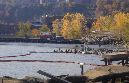 Hudson River shoreline looking south from a location just upriver. Contamination found within and below the river sediments shown in this photo.