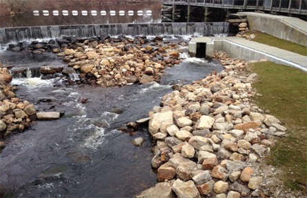 A fishway, or fish ladder, was constructed as part of the restoration effort to help herring travel upstream.