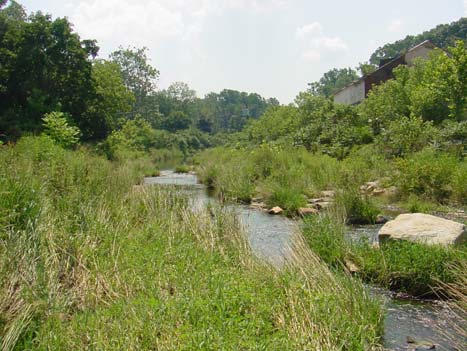 After contamination was removed from the site, stream restoration, shown here, was completed.