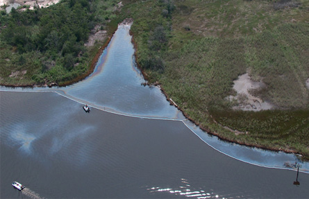 An oil spill partially combined by booms along a marshy shoreline. 