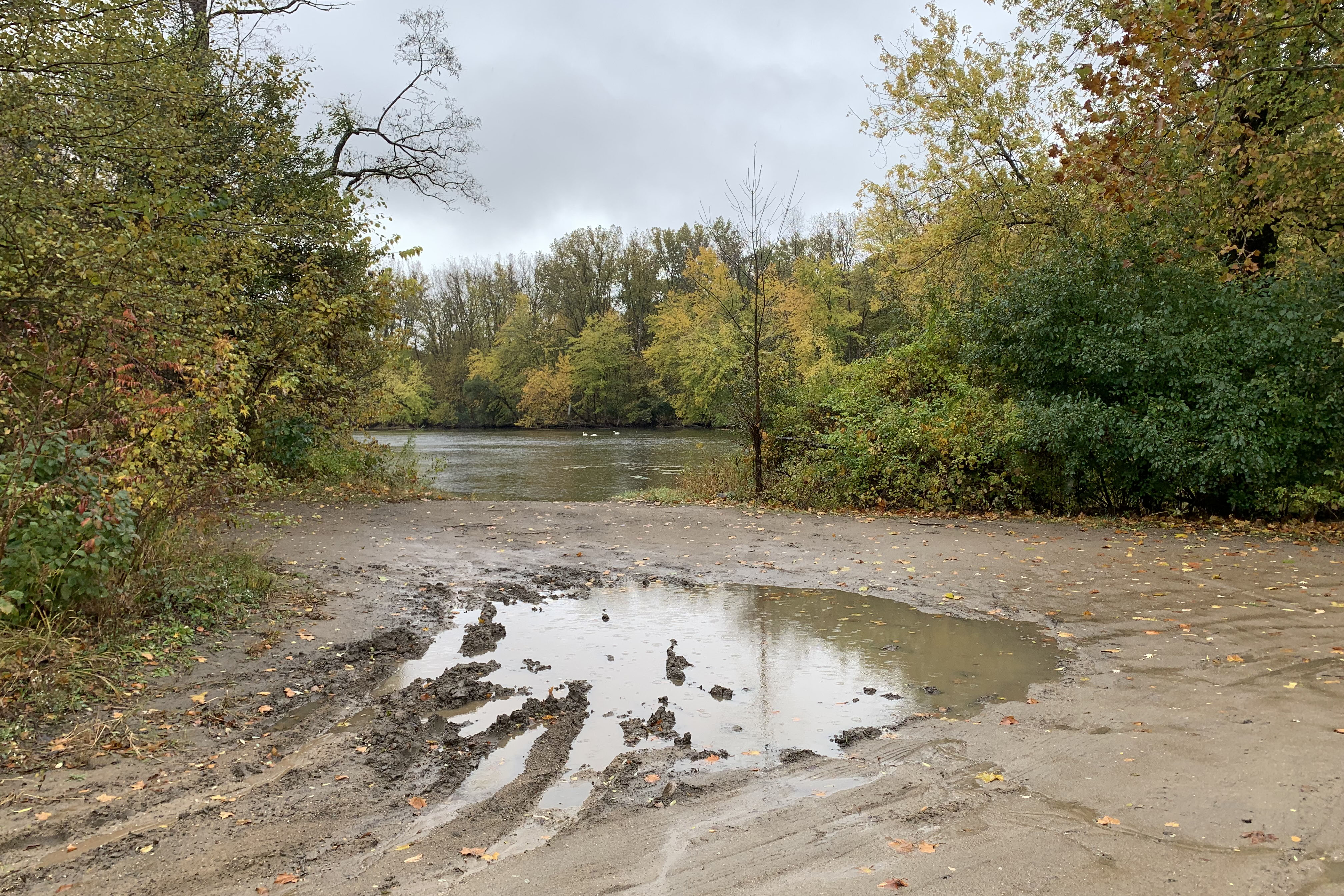 a muddy puddle at the edge of a boat launch is surrounding by trees