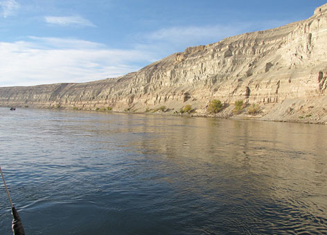 A view of the free-flowing section of Columbia River.