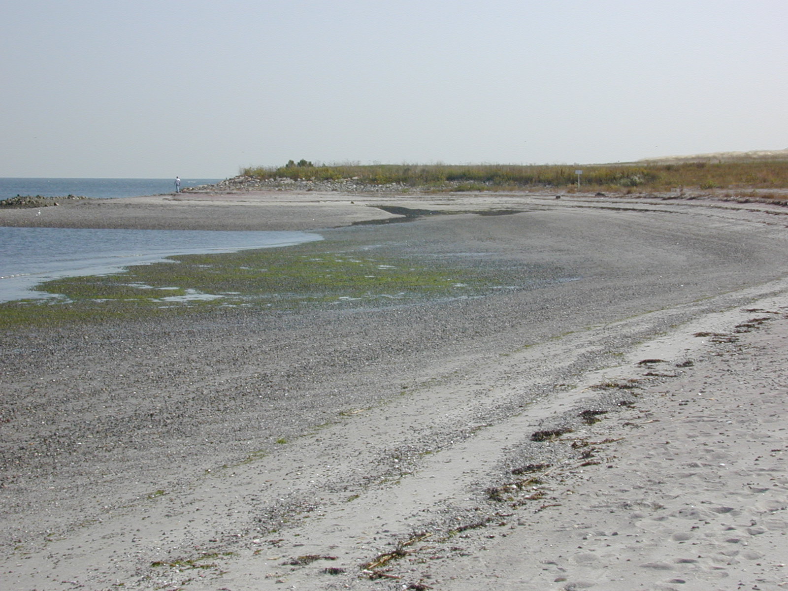 Lordship beach after remediation. 