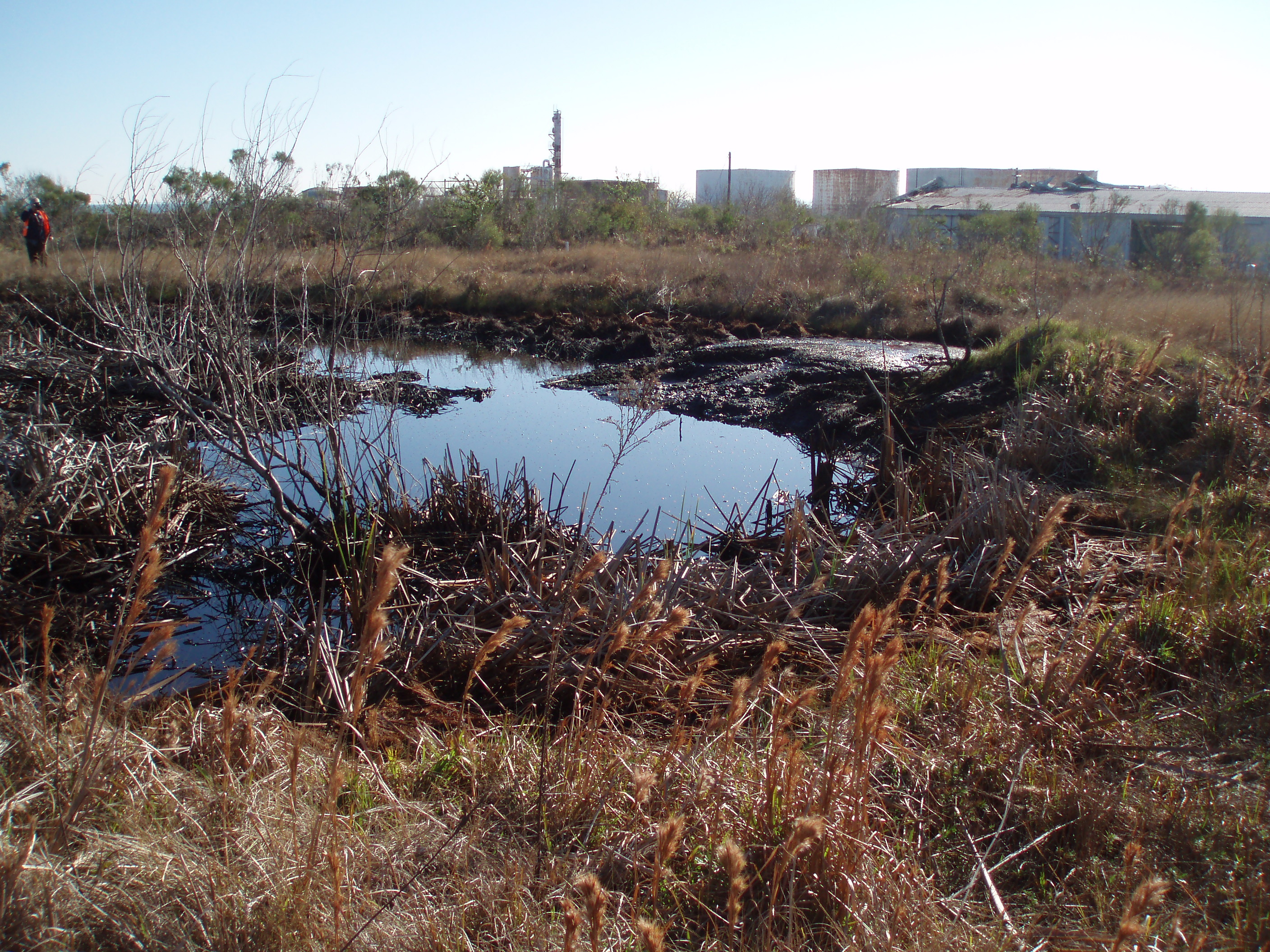 Malone superfund waste site in Texas. Oil pit over grass habitat prior to cleanup