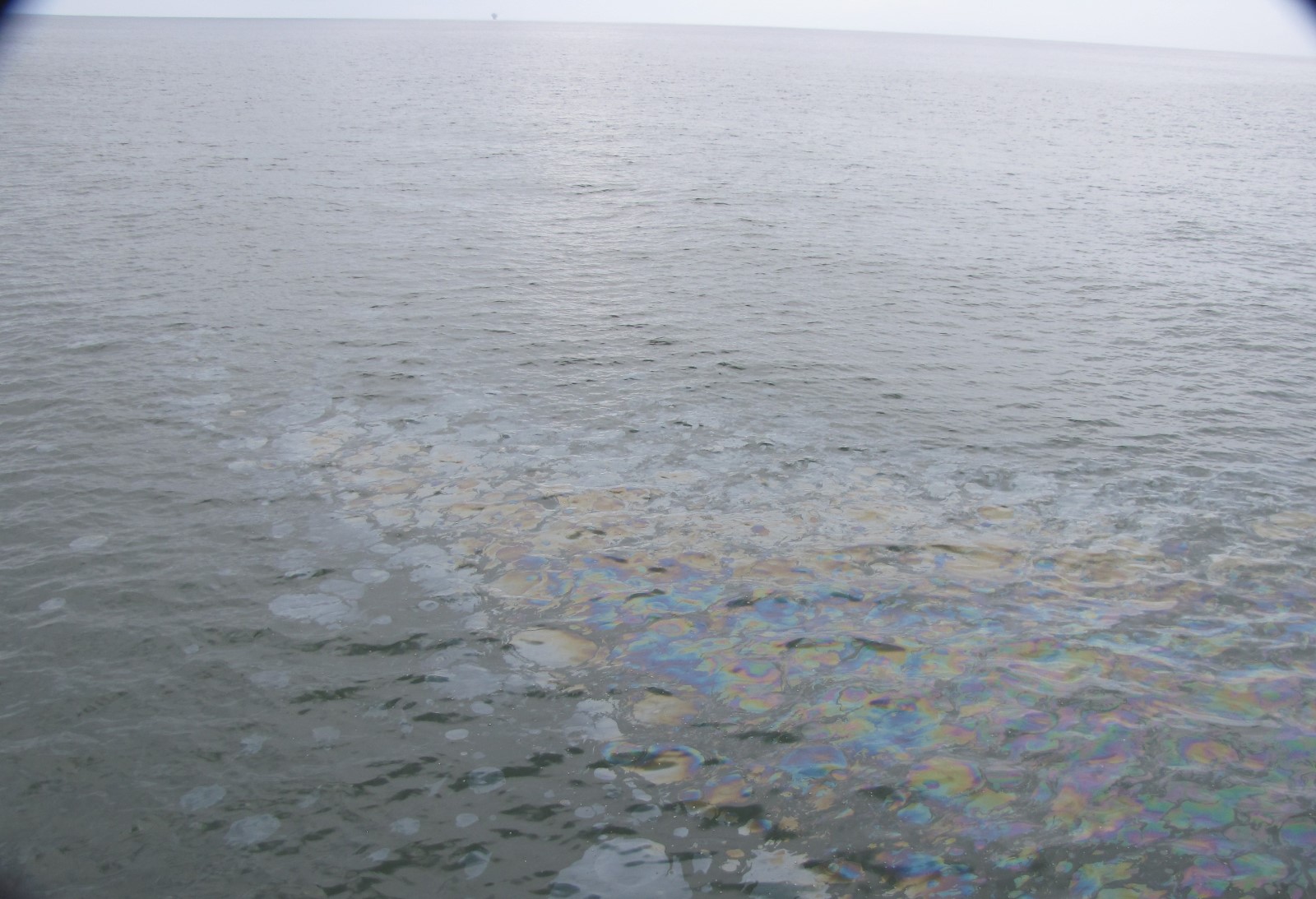 Oil can be seen rising to the surface at the origin of the slick emanating from the Taylor MC20 site. Credit: NOAA