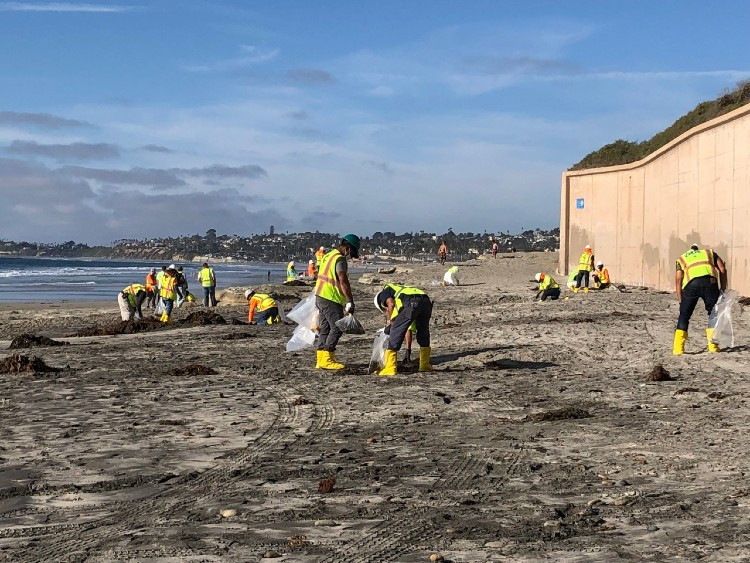 people in yellow construction jackets and hats cleanup a sandy beach area 