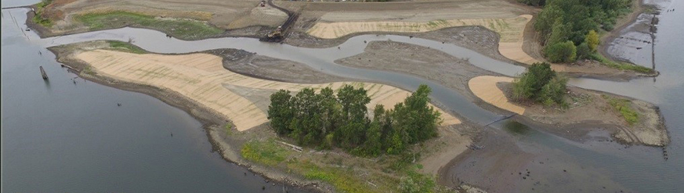 The Alder Creek restoration site on Oregon’s Willamette River as construction nears completion in 2015. (Photo courtesy of Wildlands, Inc.)