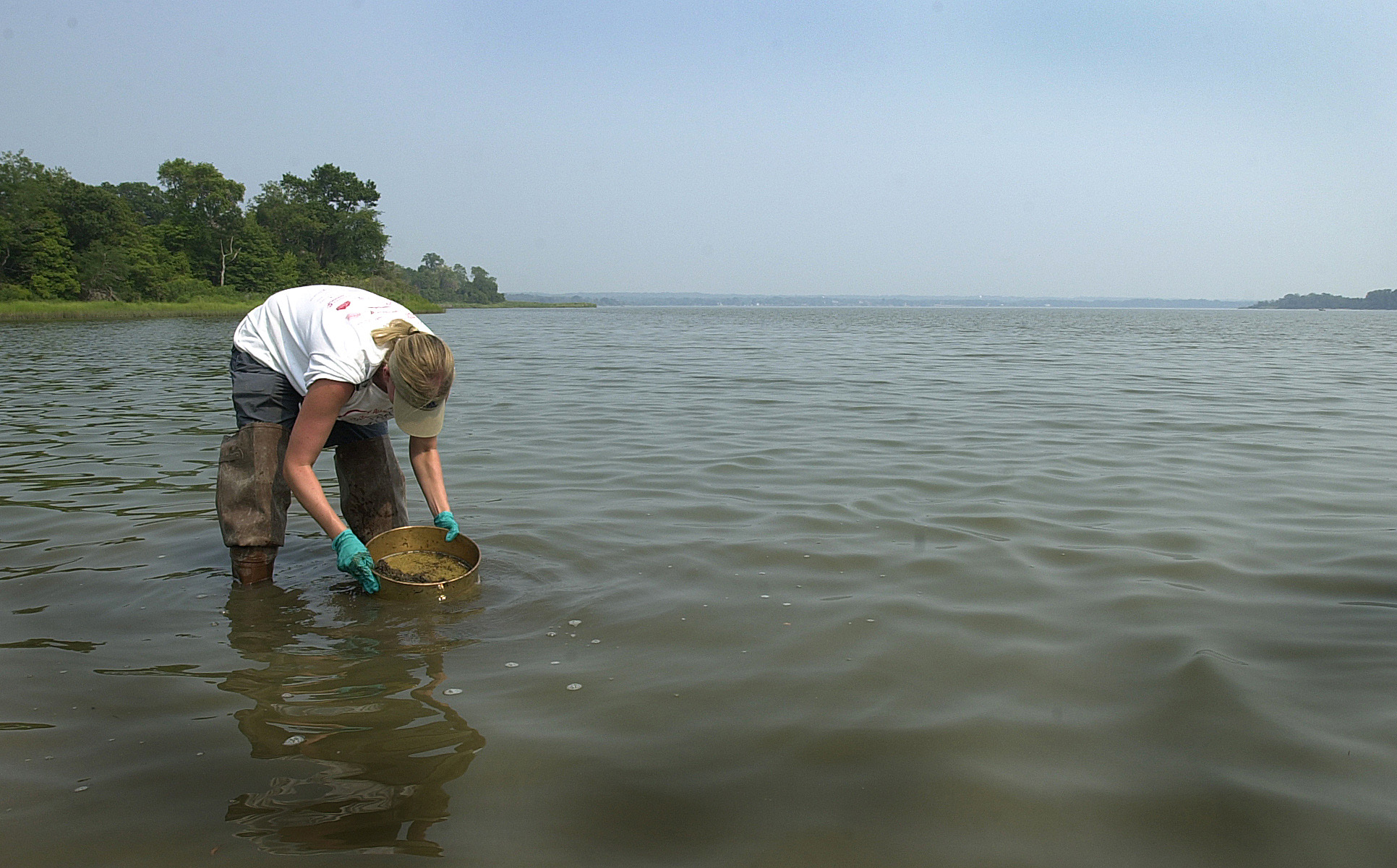 After the 2000 pipeline leak of oil from the Chalk Point PEPCO facility into Swanson Creek in Maryland, a scientist samples sediment to determine the impact on bottom-dwelling creatures. 