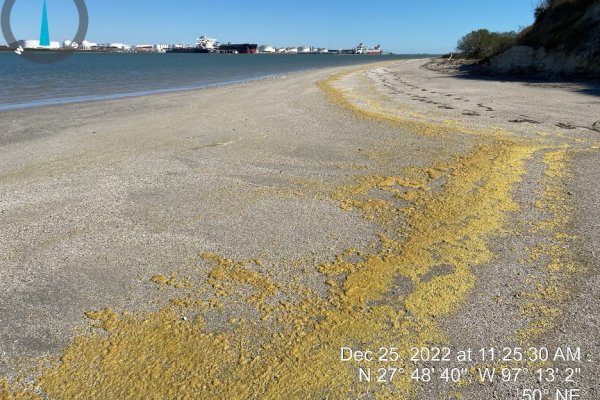  Yellowish waxy petroleum product on a shoreline in Corpus Christi, Texas on December 25, 2022.