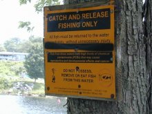 Sign for Catch and Release Fishing Only.