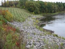 Remediated bank along the Raquette River adjacent to GM outfall.