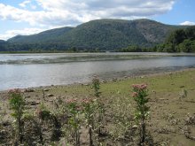 Storm King Mountain viewed from East Foundry Cove marsh.