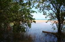 422 acres of protected coastal lands make up the Reserve with coral reefs, more than a mile of beachfront, intertidal areas, wetlands, coastal dry forests, and mangroves. 