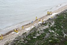 Federal and local agency workers helped clean up the beaches affected by the Texas City “Y” oil spill on March 27, 2014. (USCG)