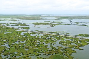 an aerial view of Long Point Bayou is shown 