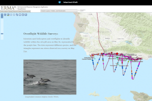 Map of overflight wildlife surveys during the Refugio Beach oil spill response and assessment (NOAA). 