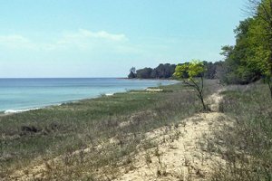 Amsterdam Dunes, a rare Great Lakes coastal dune and swale habitat, will be preserved as part of the proposed settlement.