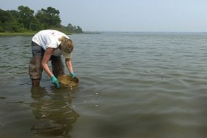 After the Chalk Point oil spill in Maryland in 2000, a NOAA scientist samples sediment to determine the impact on bottom-dwelling creatures.
