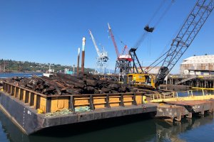 Creosote-treated pilings, pictured here, were removed from the site of the Southwest Yard Habitat Project. (photo: Marla Steinhoff, NOAA)