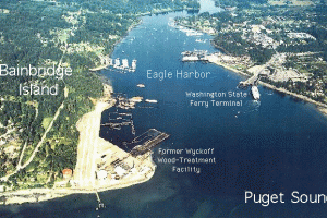 Aerial view of Eagle Harbor.