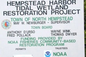 Hempstead Harbor successfully restored its salt marsh a few years ago, and will use the funds to remove invasive plants as part of its long term management efforts.
