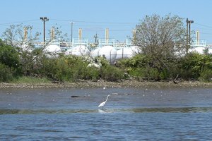 The cleanup will include the permanent removal of 3.5 million cubic yards of toxic sediment from the aquatic environment. 