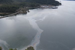Oil sheen, containment boom, and deflection boom in Starrigavan Bay on April 23, 2017. (Photo provided by the US Coast Guard)
