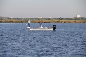 The Trustees are studying the impacts to recreational fishing which has been limited in Bayou d'Inde since 1987 and the Calcasieu since 1992. 