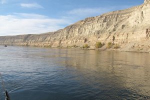 A view of the free-flowing section of Columbia River.