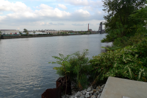 a view of the Passaic River from a concrete seawall, with trees bordering the river. 