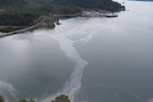 an oil slick is seen in the middle of a body of water from overhead with land in the background